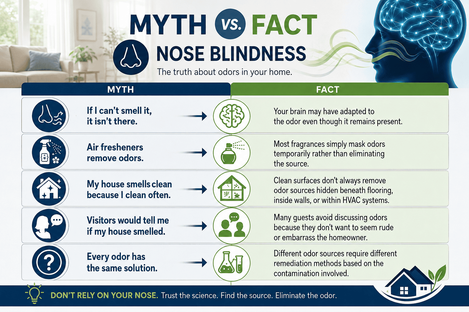 infograph showing myth vs fact on nose blindness and how it really affects your sense. 